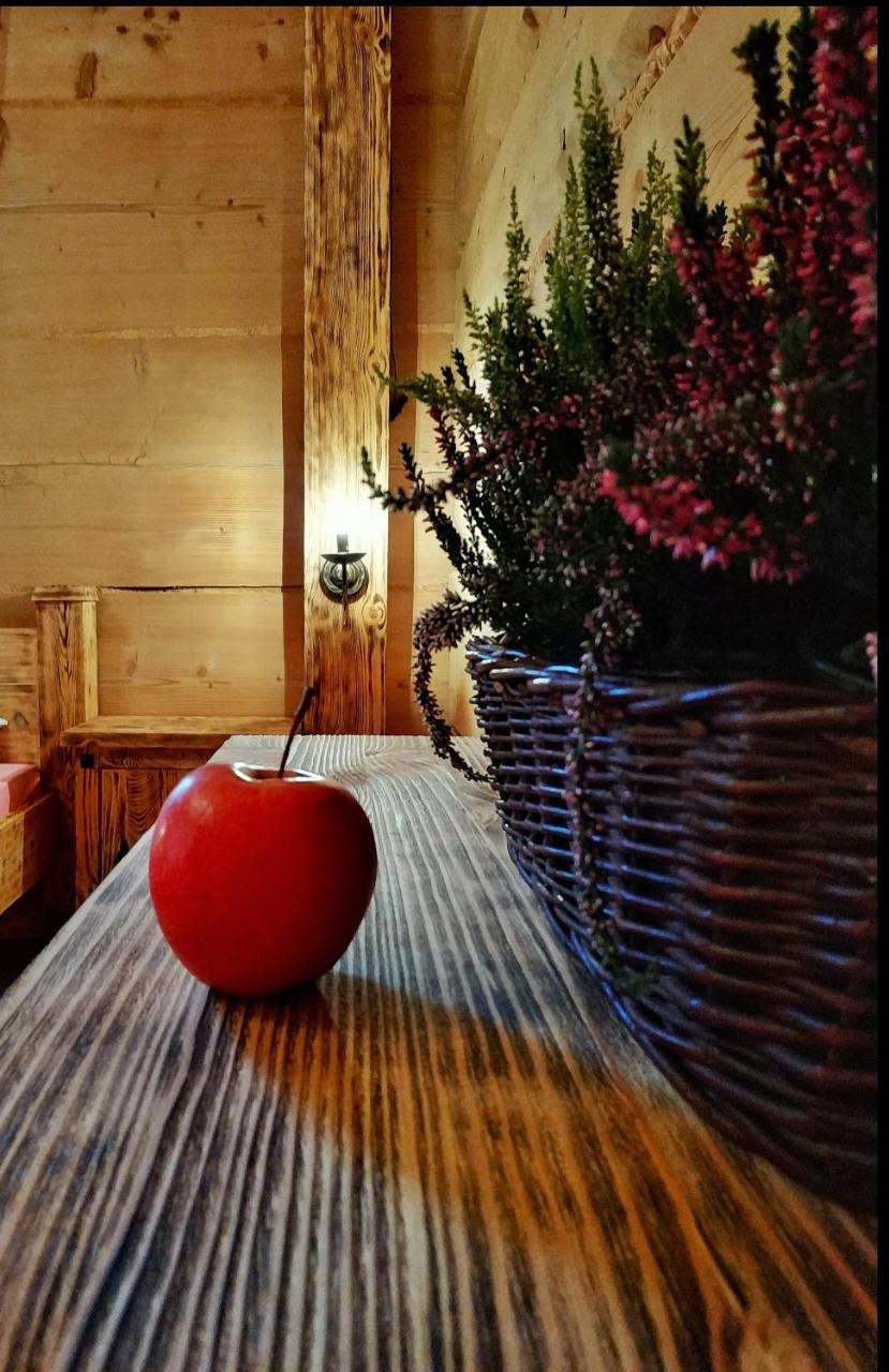 Bukowianska Ostoja - Sauna, Jacuzzi I Balia W Ofercie Bukowina Tatrzanska Ngoại thất bức ảnh